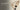 Modatope home page flats collection banner for PC